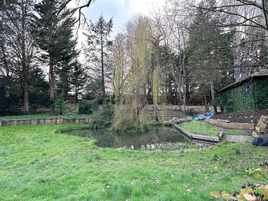 Forest Studio Apartment Gated Parking On 2 Acres Garden Chislehurst Zewnętrze zdjęcie